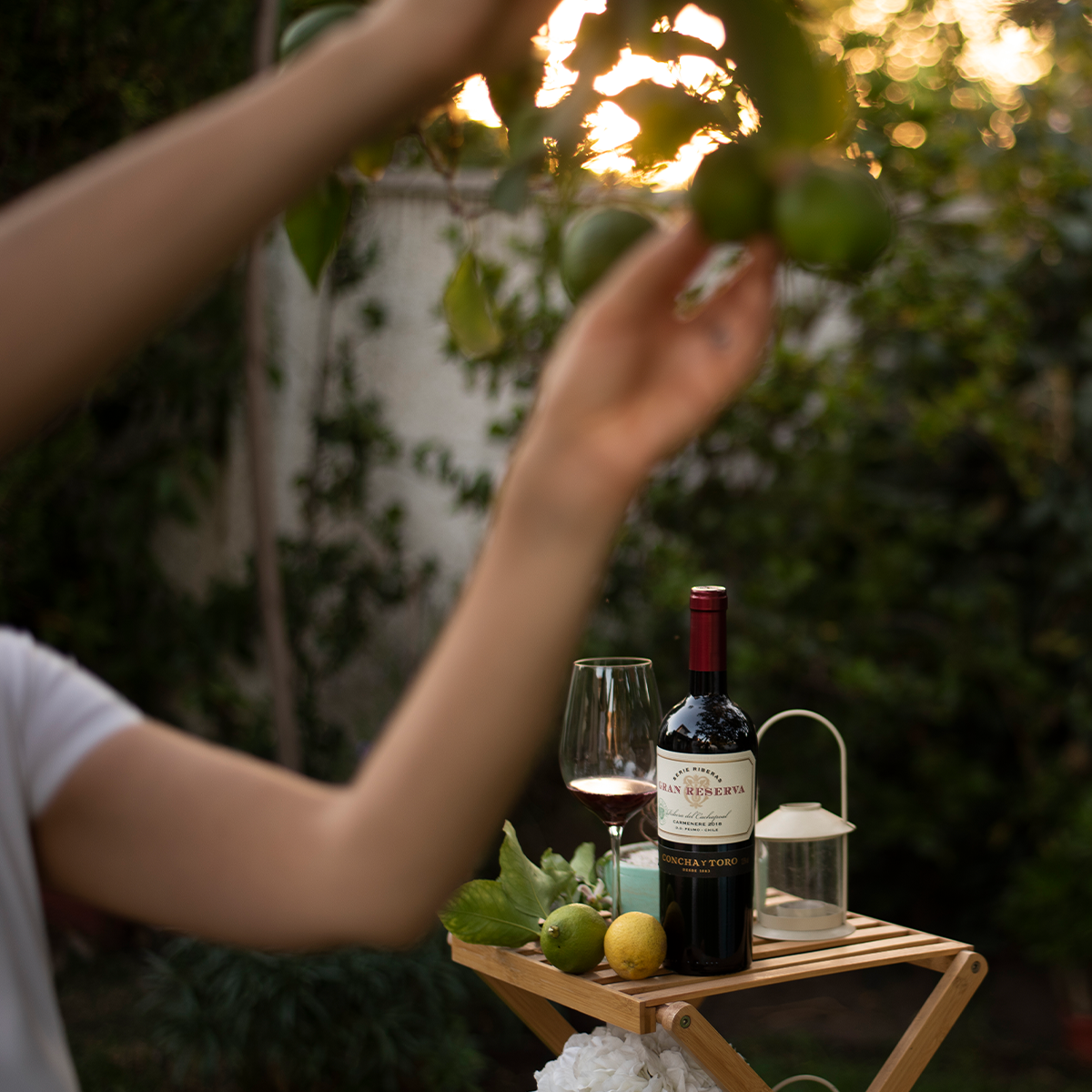 Gran Reserva Serie Riberas obtiene sello vegano tras acreditación internacional