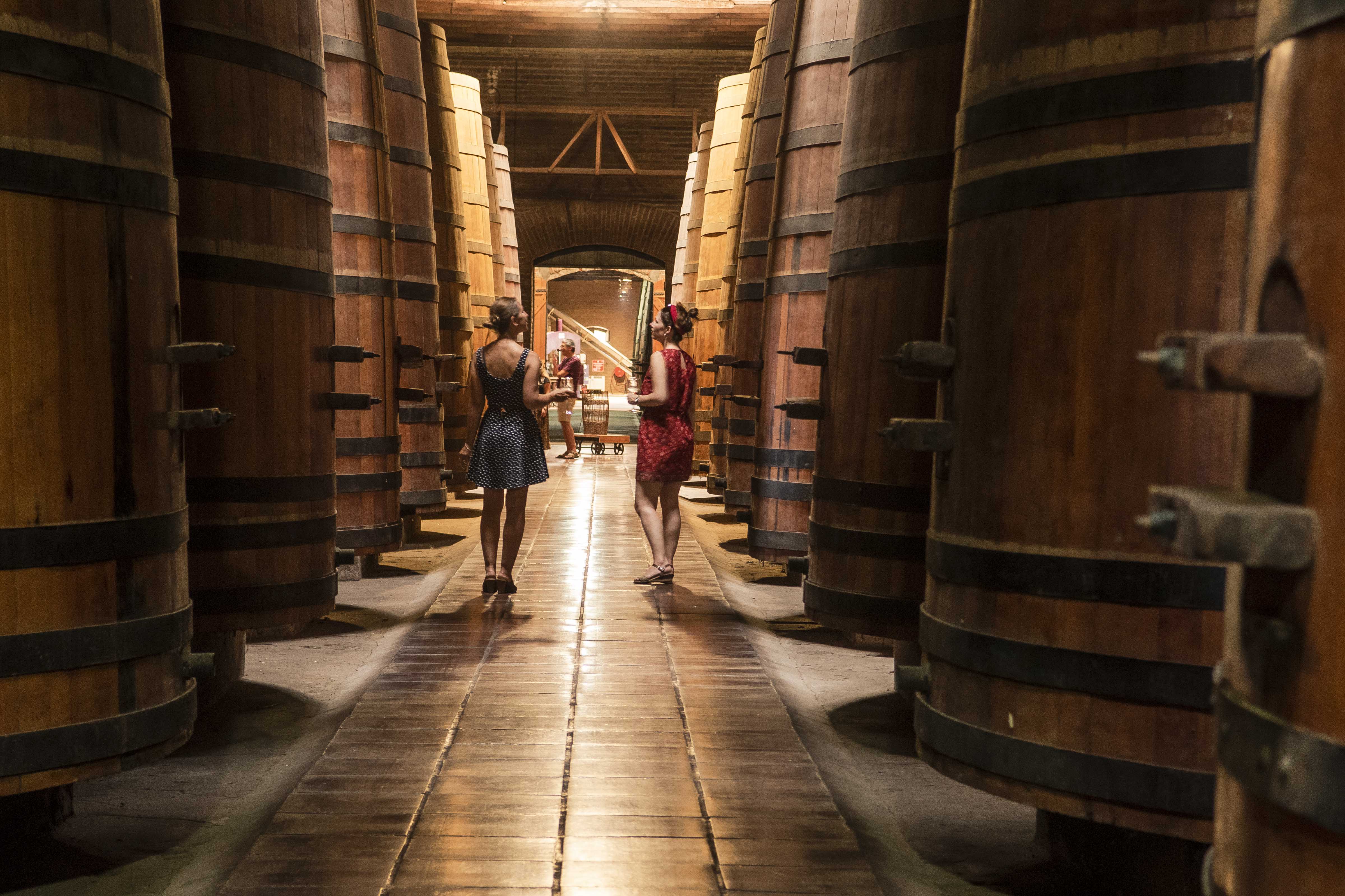Día del Vino Chileno en Viña Cousiño Macul