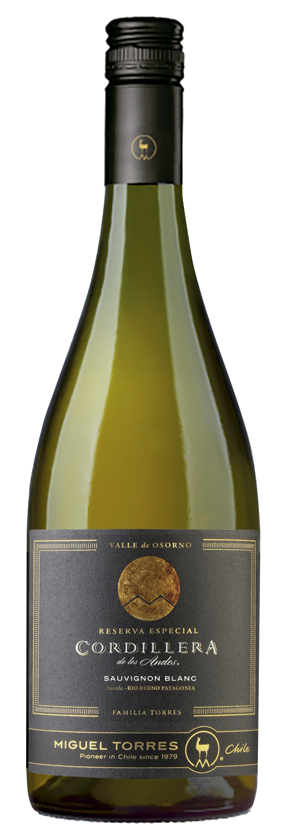 Cordillera de Los Andes Sauvignon Blanc 2020 obtiene Medalla de Platino en Decanter World Wine Awards 2022