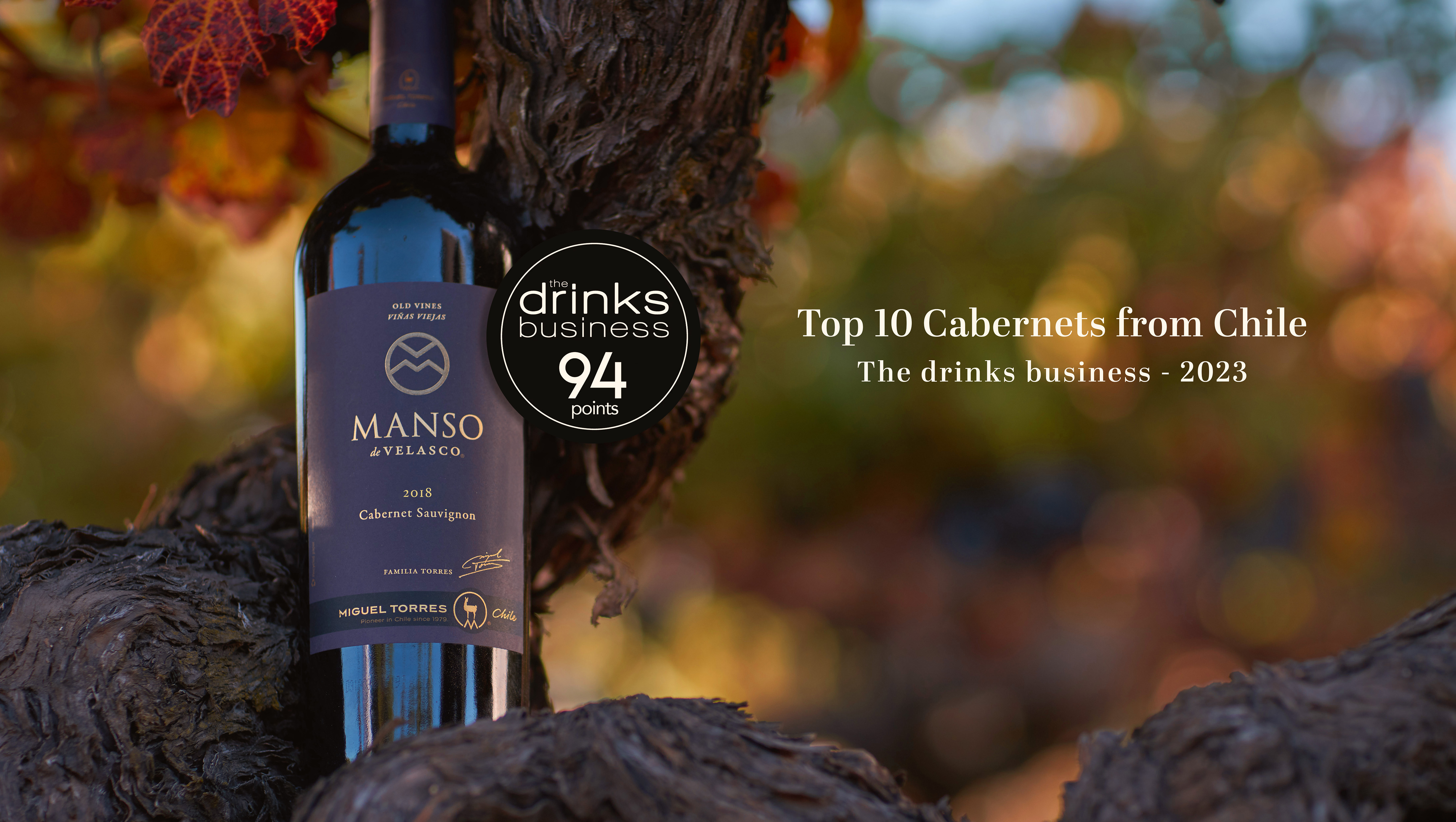 Manso de Velasco destacado entre los 10 Mejores Cabernet Sauvignon de Chile