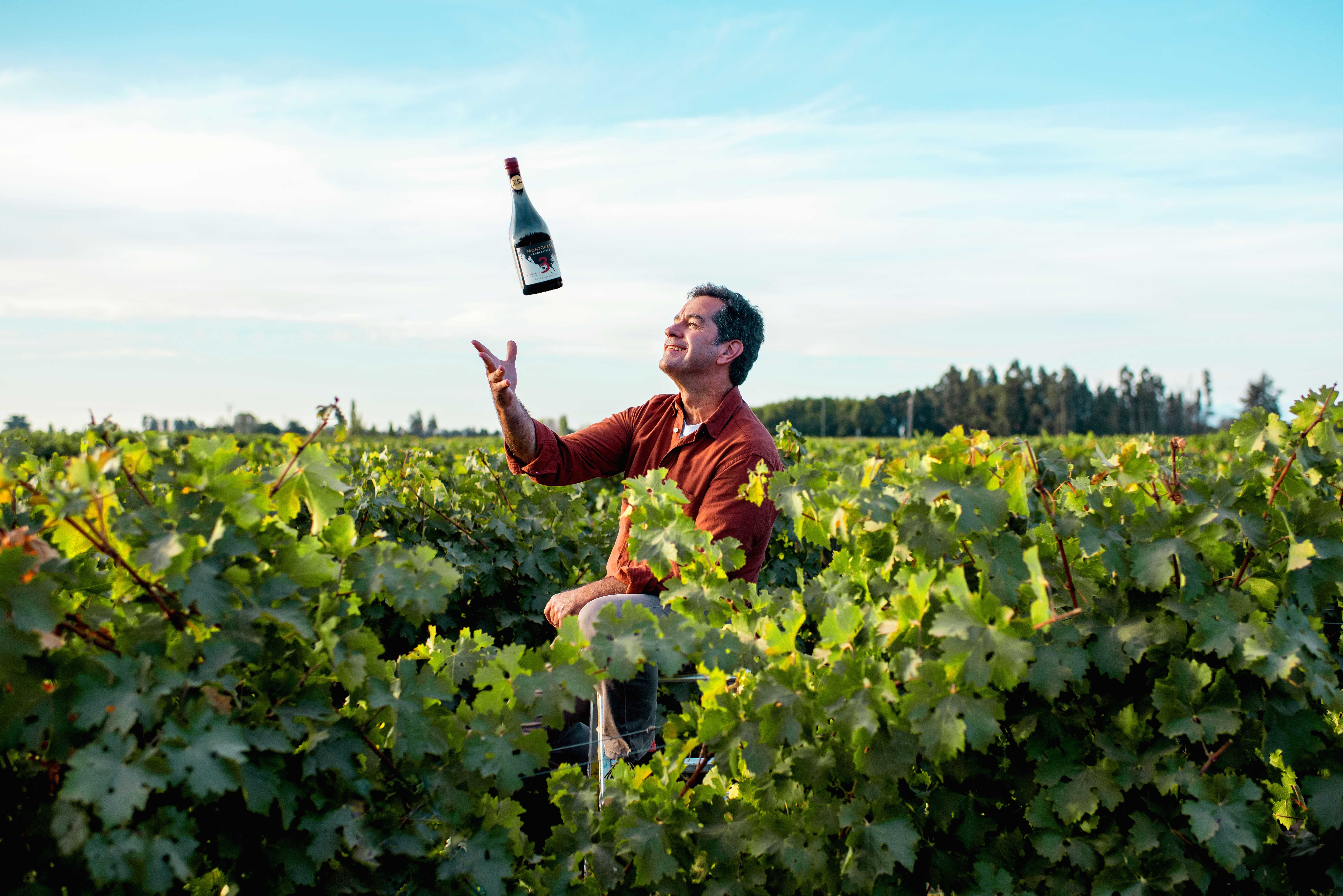 SUSTENTABILIDAD, VINOS VEGANOS Y RESCATE DE CEPAS: EL CONSTANTE TRABAJO DE LA VIÑA MONTGRAS AD PORTAS DE UNA NUEVA CELEBRACIÓN DEL DÍA NACIONAL DEL VINO