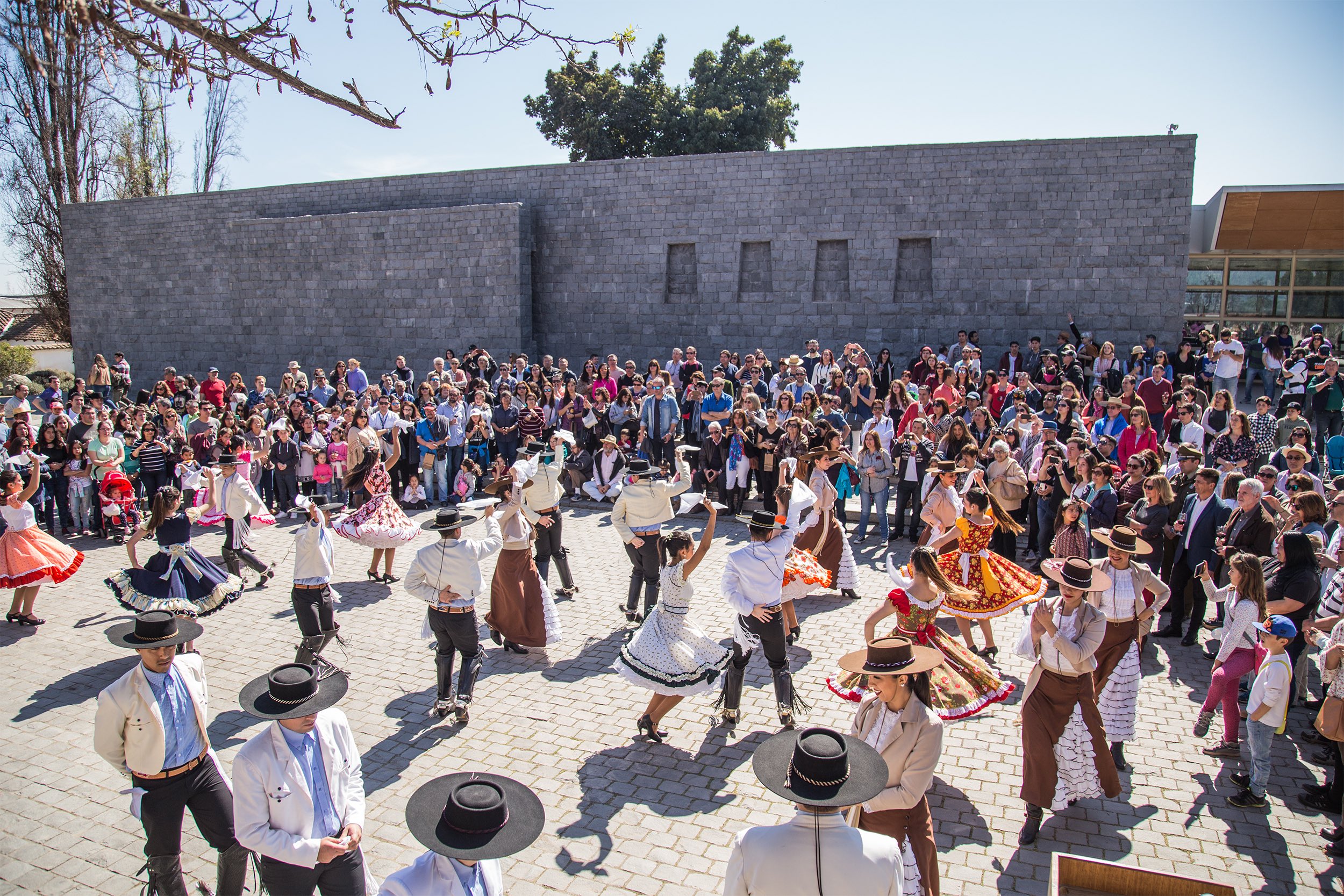 VIÑA SANTA RITA ABRE SUS PUERTAS PARA CELEBRAR EL DÍA DEL VINO CHILENO CON RECORRIDOS GRATUITOS