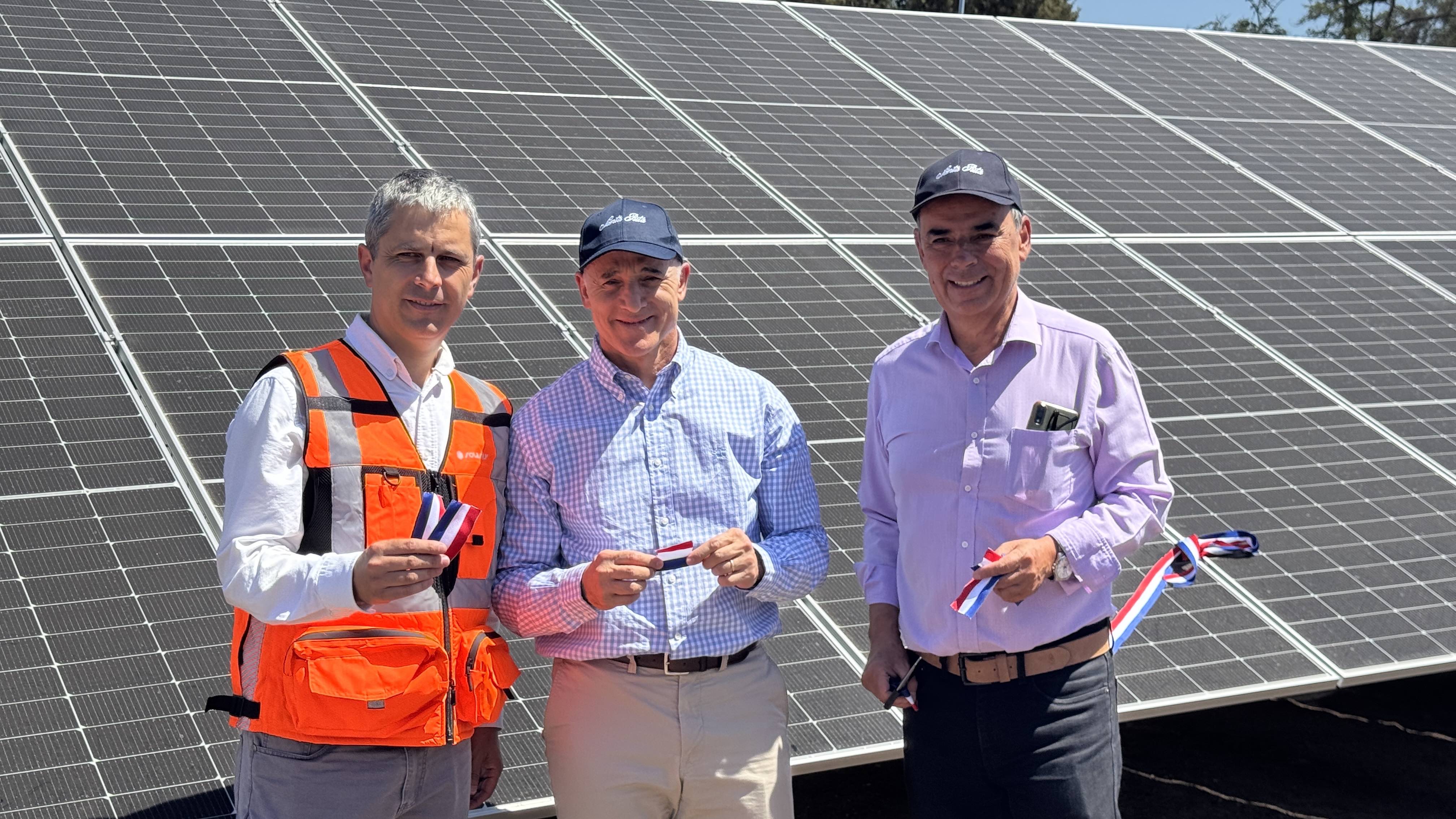 Viña Santa Rita inaugura su primera planta solar, cubriendo más del 80% de su consumo energético diurno