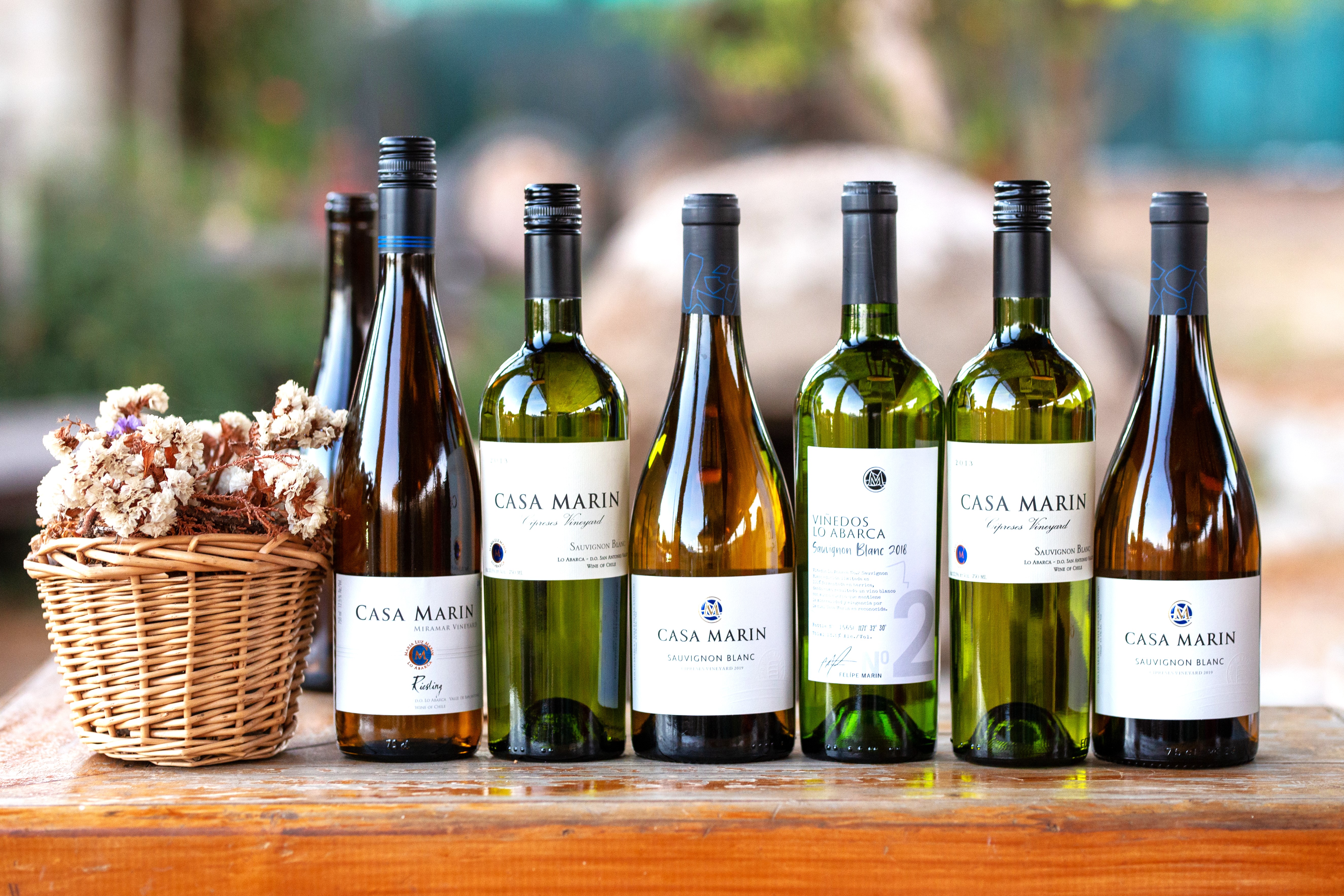 Viña Casa Marín es reconocida en Inglaterra como el “Mejor Productor de Chile” por los Masters of Wine