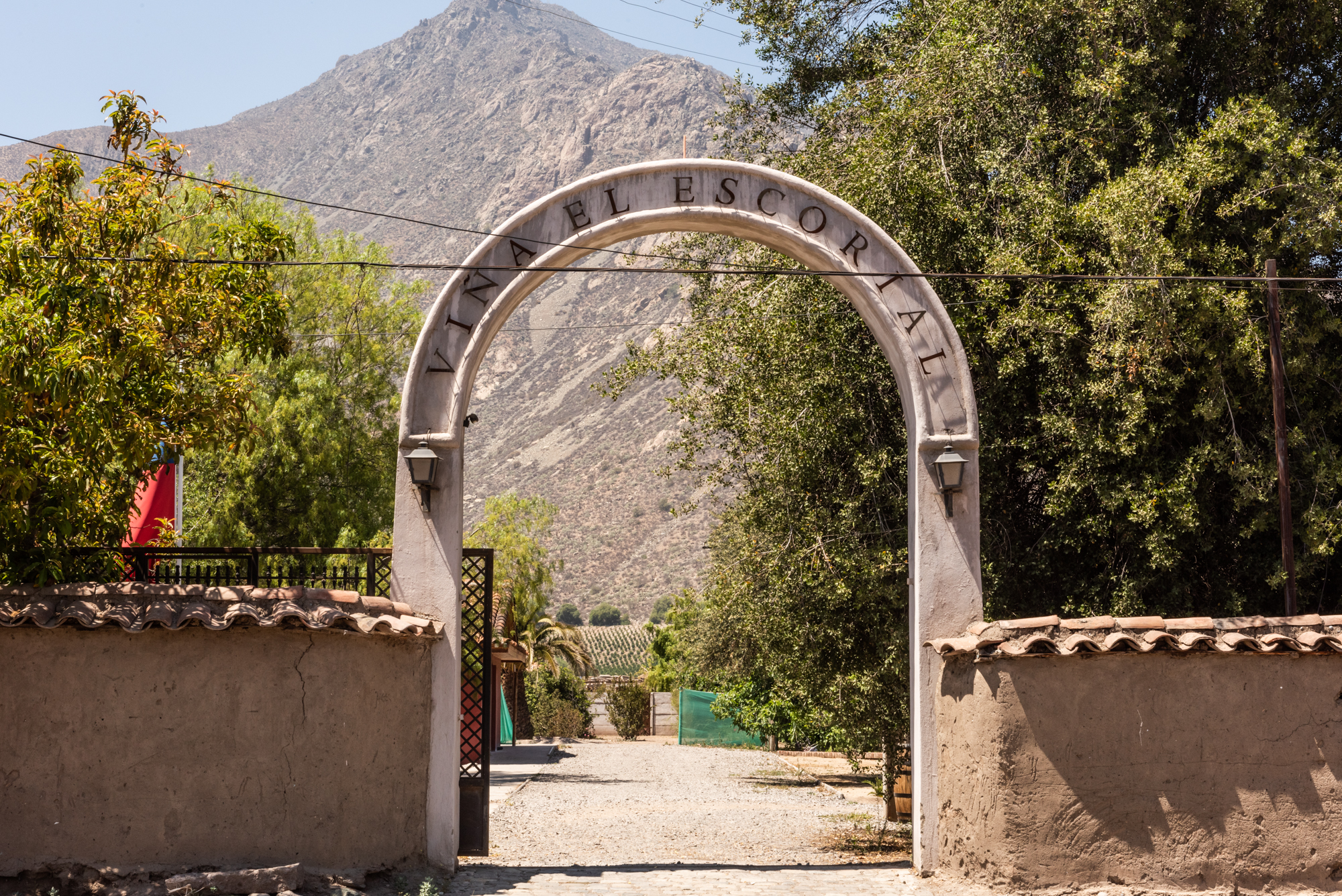 Enoturismo cerca de Santiago: 3 panoramas imperdibles en el Valle del Aconcagua para disfrutar en enero
