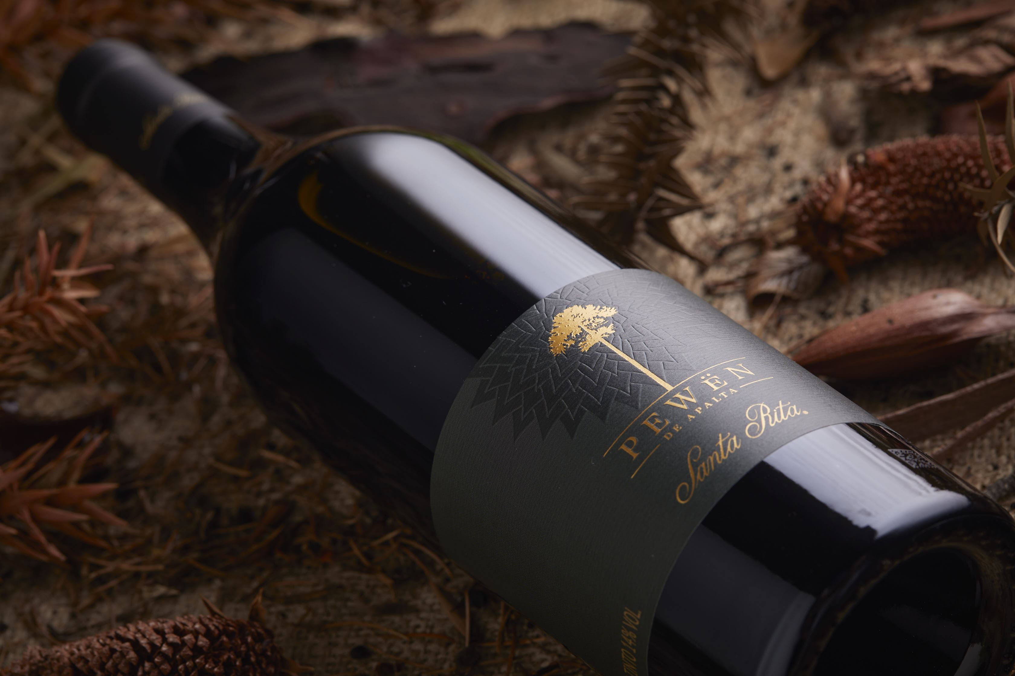 PEWËN DE APALTA: EL CARMENÈRE QUE POR CINCO AÑOS HA SIDO RECONOCIDO COMO EL MEJOR DE CHILE