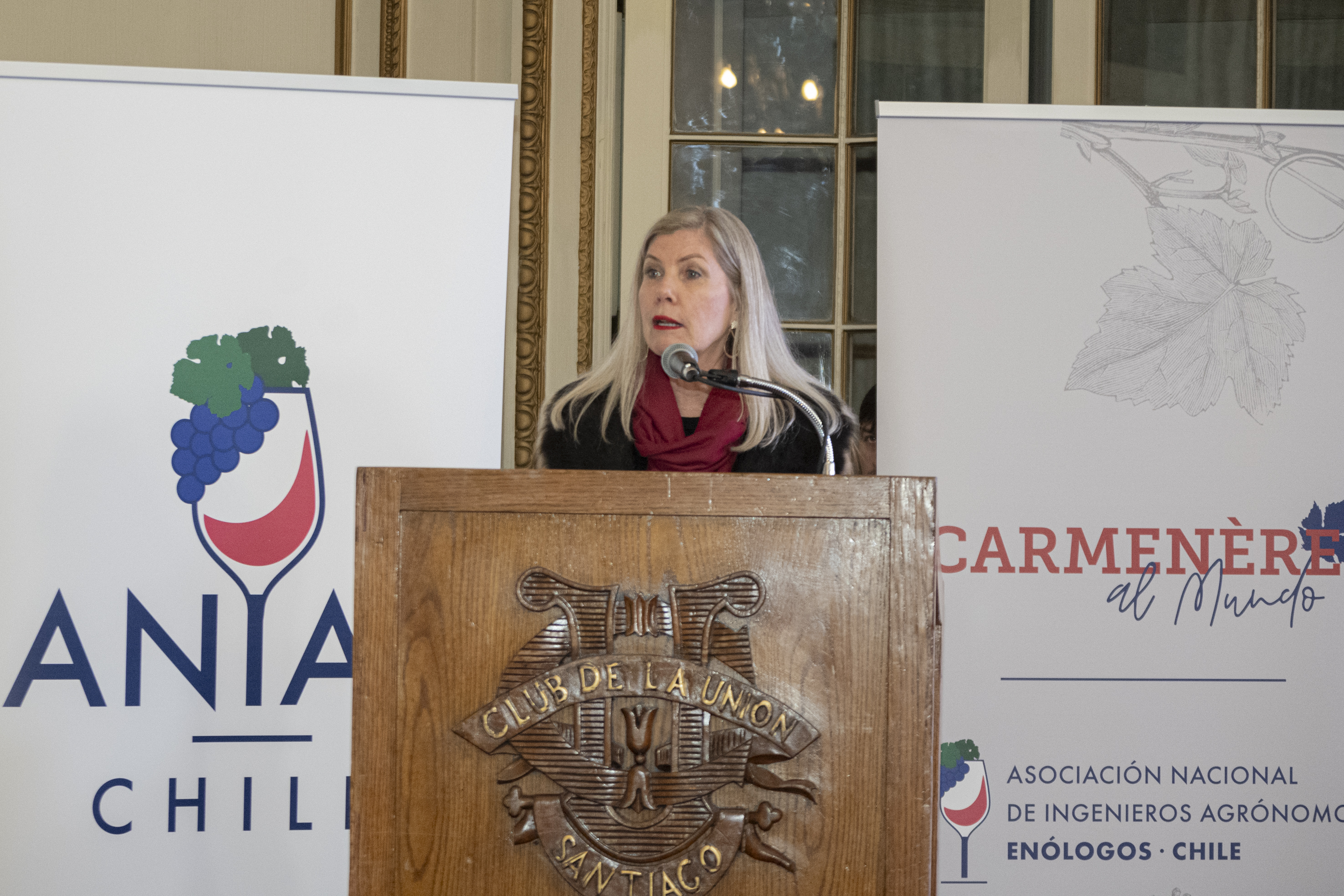 Concurso Carmenère al Mundo 2026 cuenta con patrocinio de la OIV y se realizará en el Valle de Curicó