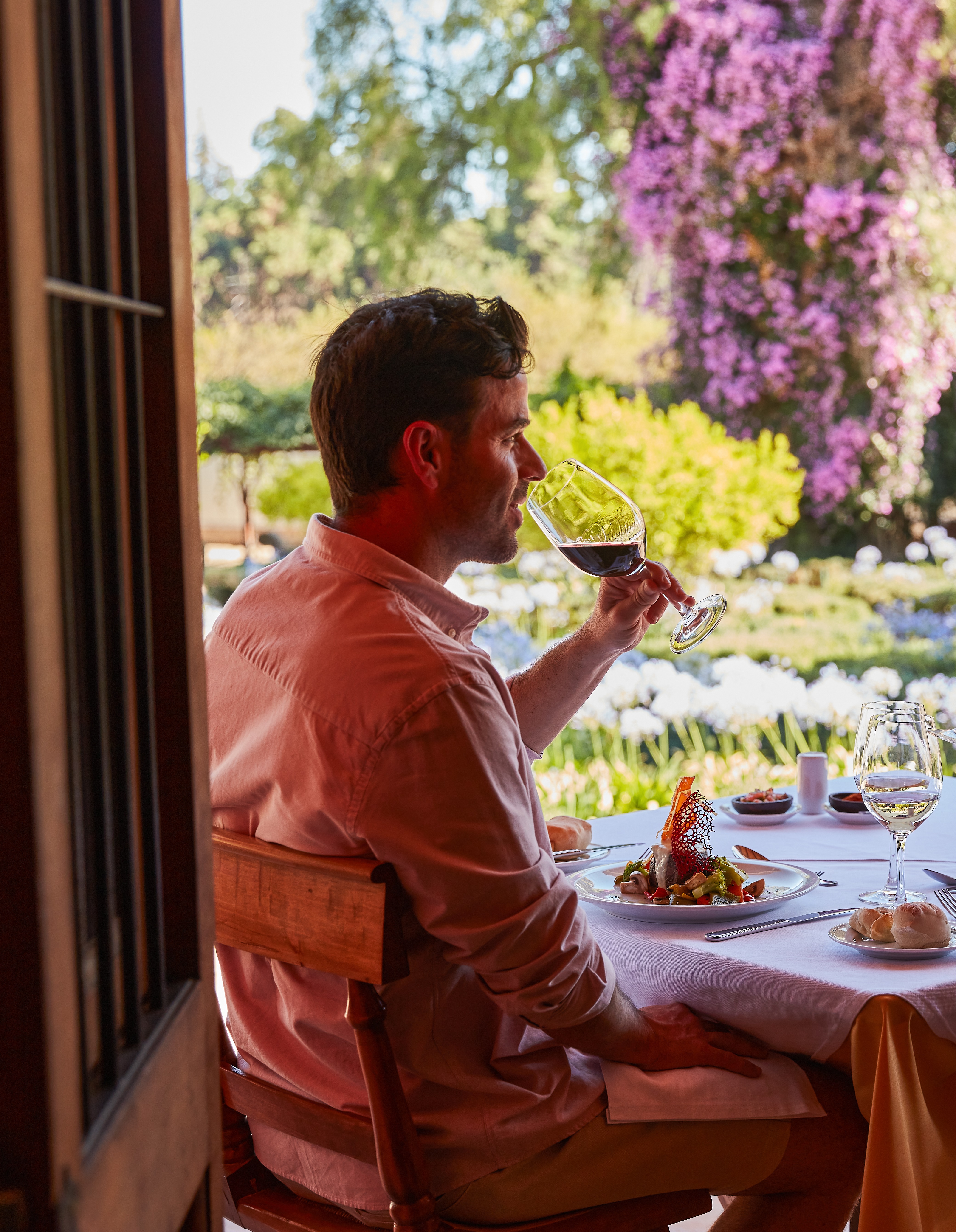 Día del Padre en Viña Santa Rita: tours, vinos y gastronomía a 45 minutos de Santiago