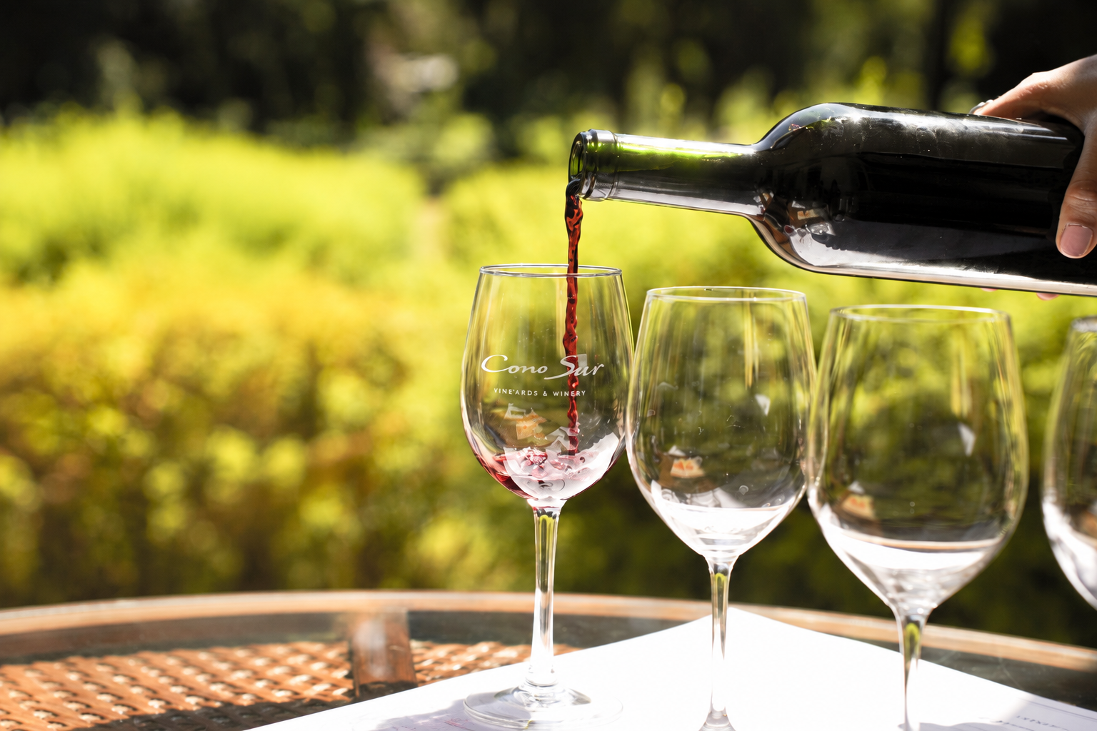 El origen redefine la identidad del vino chileno: la diversidad de territorios impulsa una nueva generación de etiquetas