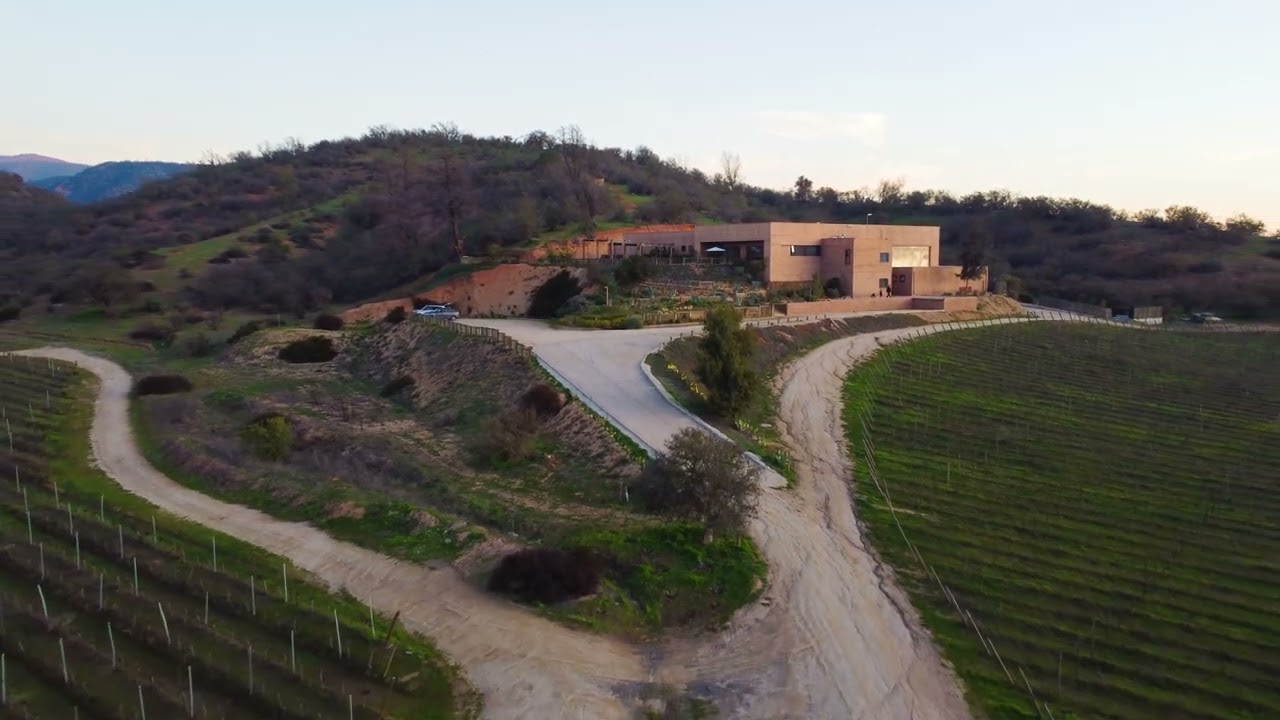 Roban 20 años de historia a             Villard Fine Wines: el llamado a      apoyar a la viña familiar de Casablanca